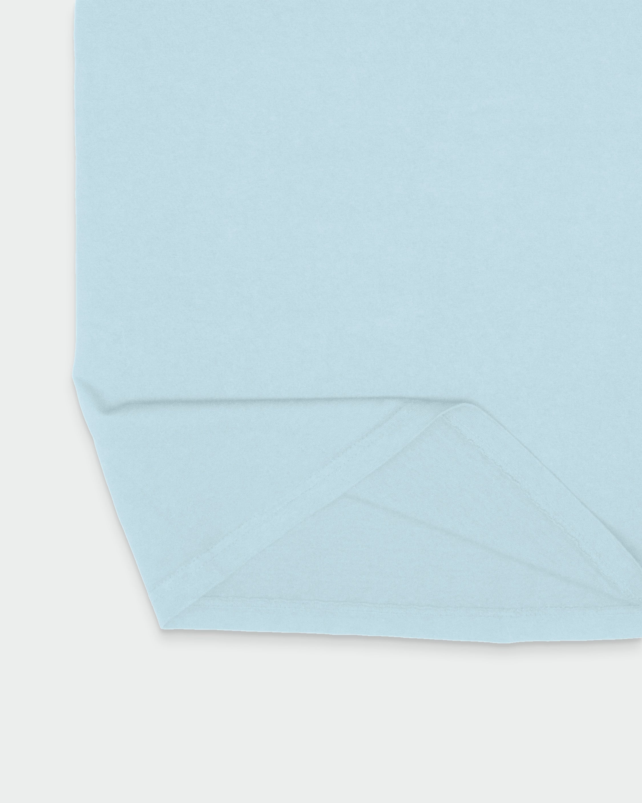 Flying Hawks Tshirt - sky