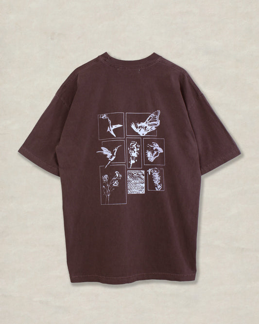 Pathfinder Tshirt - Brown